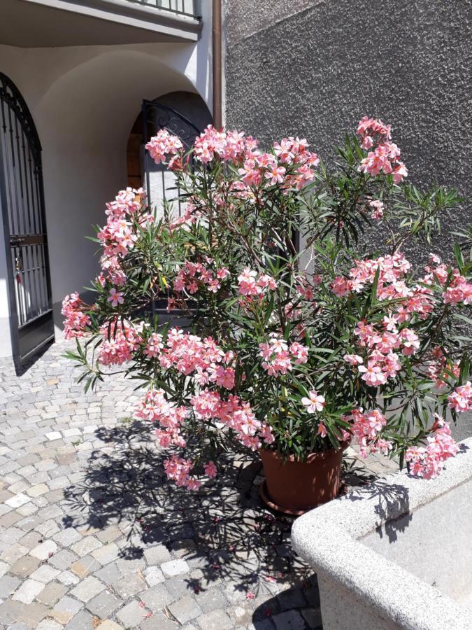 Aux Trois Soleils Bed and Breakfast Chexbres Εξωτερικό φωτογραφία