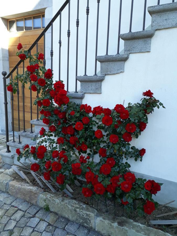 Aux Trois Soleils Bed and Breakfast Chexbres Εξωτερικό φωτογραφία